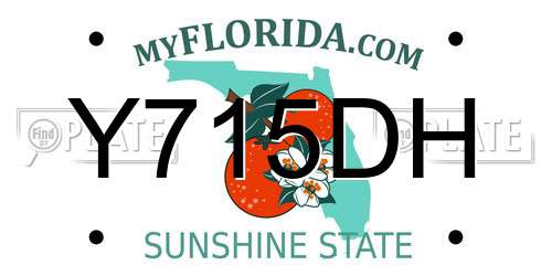 Y715DH Florida License Plate