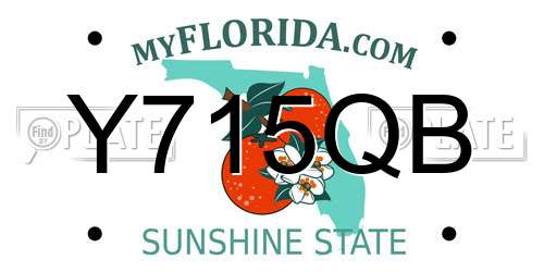 Y715QB Florida License Plate