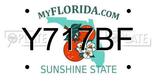 Y717BF Florida License Plate