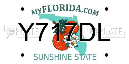 Y717DL Florida License Plate