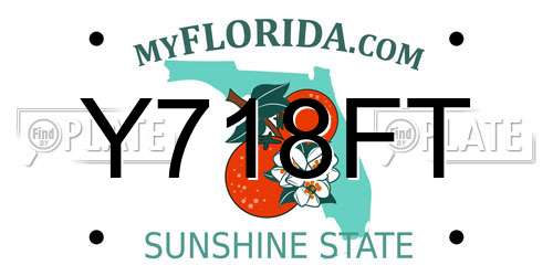 Y718FT Florida License Plate