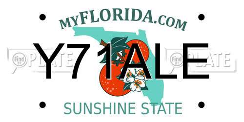 Y71ALE Florida License Plate