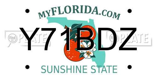 Y71BDZ Florida License Plate
