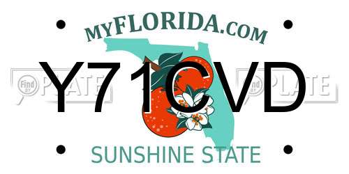 Y71CVD Florida License Plate