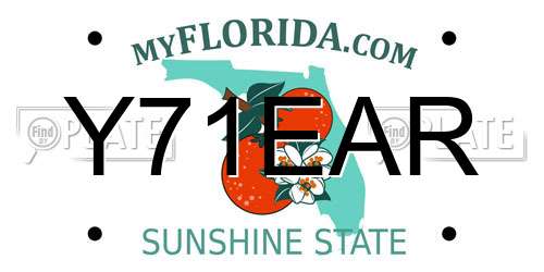 Y71EAR Florida License Plate