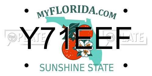 Y71EEF Florida License Plate