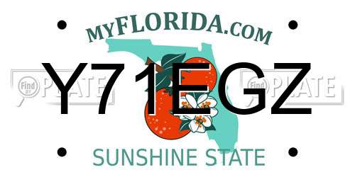 Y71EGZ Florida License Plate
