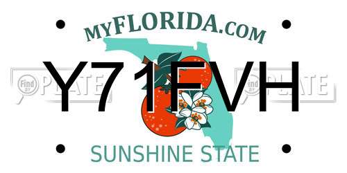 Y71FVH Florida License Plate