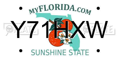 Y71HXW Florida License Plate