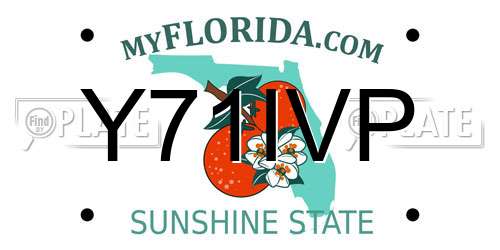 Y71IVP Florida License Plate