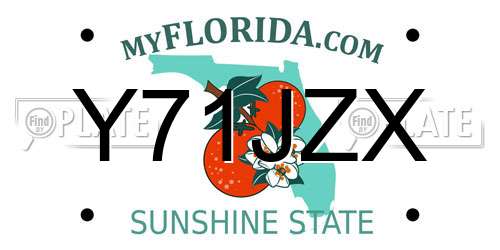 Y71JZX Florida License Plate
