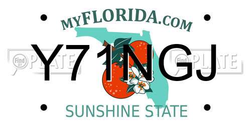 Y71NGJ Florida License Plate