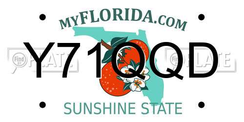 Y71QQD Florida License Plate