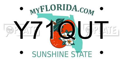 Y71QUT Florida License Plate
