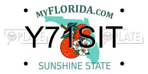 Y71SIT Florida License Plate
