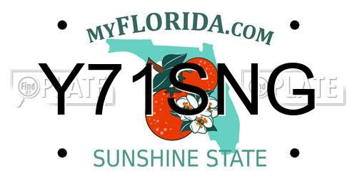 Y71SNG Florida License Plate