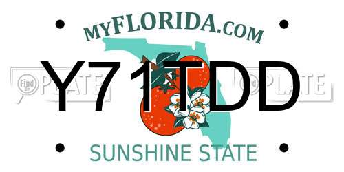 Y71TDD Florida License Plate