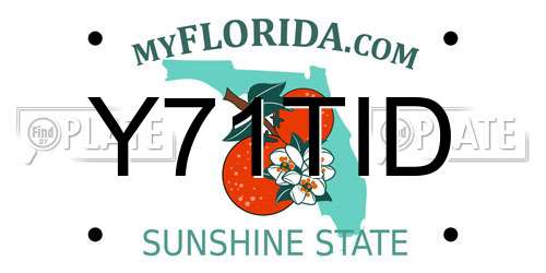 Y71TID Florida License Plate