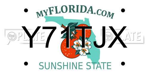 Y71TJX Florida License Plate