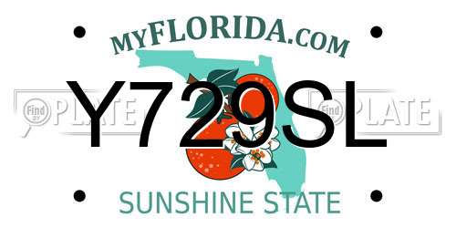 Y729SL Florida License Plate