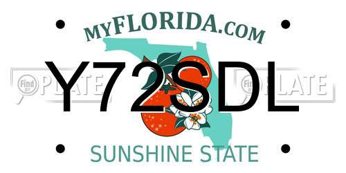 Y72SDL Florida License Plate