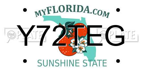 Y72TEG Florida License Plate