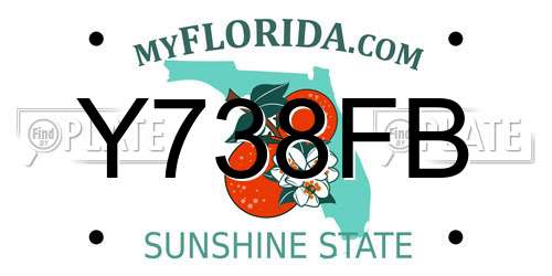 Y738FB Florida License Plate