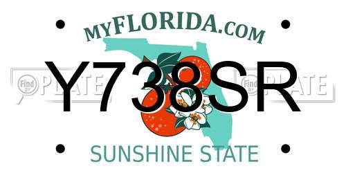 Y738SR Florida License Plate