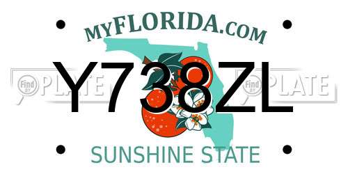 Y738ZL Florida License Plate