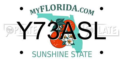 Y73ASL Florida License Plate
