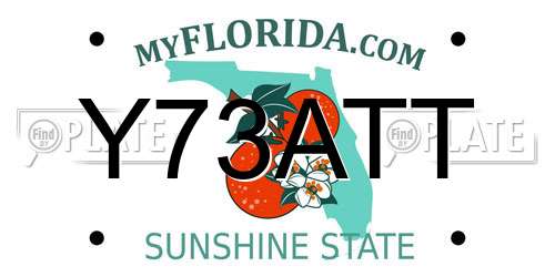 Y73ATT Florida License Plate