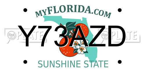 Y73AZD Florida License Plate