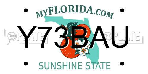 Y73BAU Florida License Plate