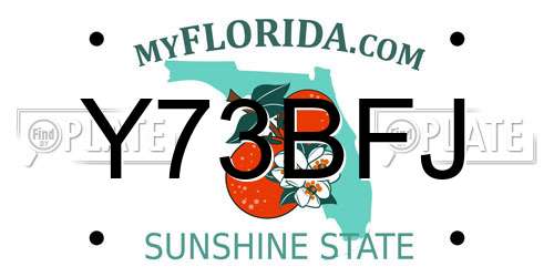 Y73BFJ Florida License Plate
