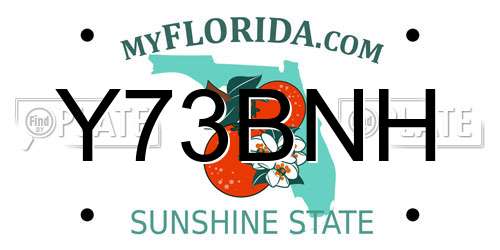 Y73BNH Florida License Plate