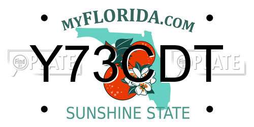 Y73CDT Florida License Plate