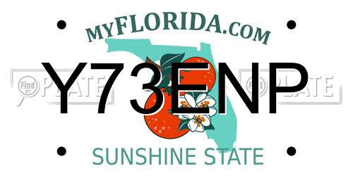 Y73ENP Florida License Plate