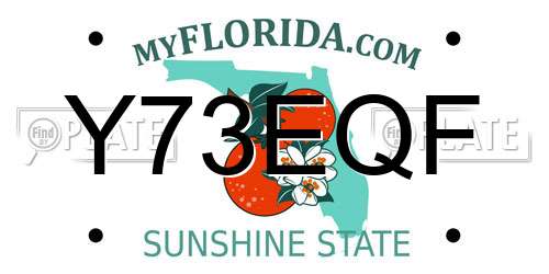 Y73EQF Florida License Plate