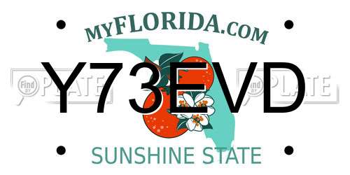 Y73EVD Florida License Plate