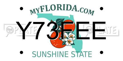 Y73FEE Florida License Plate