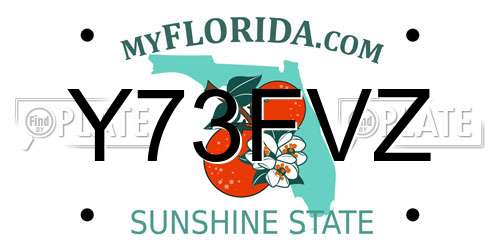Y73FVZ Florida License Plate