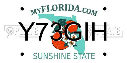 Y73GIH Florida License Plate
