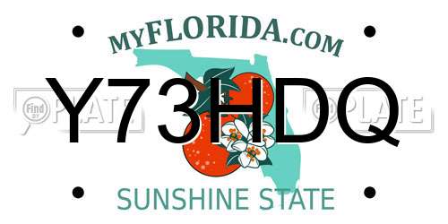 Y73HDQ Florida License Plate