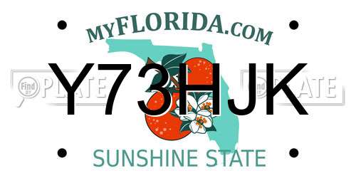 Y73HJK Florida License Plate