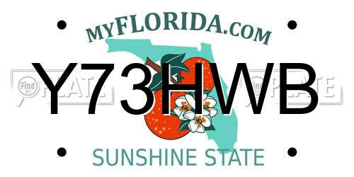 Y73HWB Florida License Plate