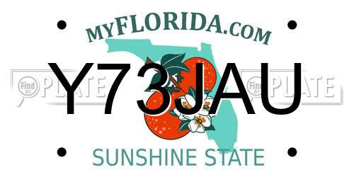 Y73JAU Florida License Plate