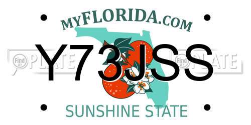 Y73JSS Florida License Plate