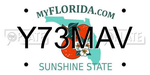 Y73MAV Florida License Plate