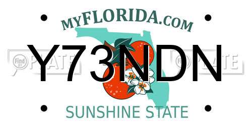 Y73NDN Florida License Plate