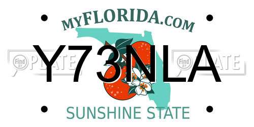 Y73NLA Florida License Plate